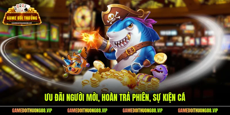 Ưu đãi người mới, hoàn trả phiên, sự kiện cá